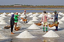 Celtic Sea Salt