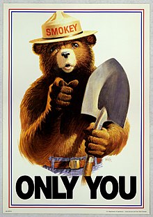 Only You Can Prevent Forest Fires