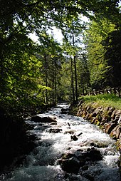 Bubbling brook