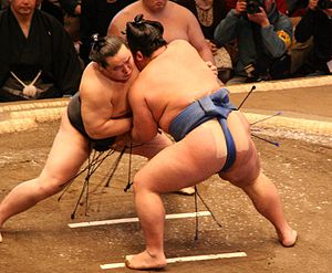 The Land of Sumo