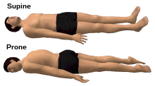 Supine Position