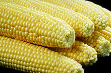 Corn on the Cob