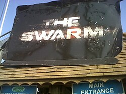 The Swarm