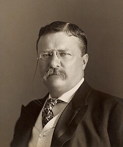 Theodore Roosevelt