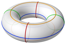 Torus