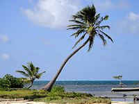 Turneffe Atoll