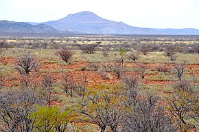 The Veld of South Africa