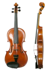 Violin