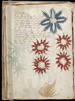 Deciphering the Voynich Manuscript
