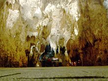 Waitomo Glowworm Caves