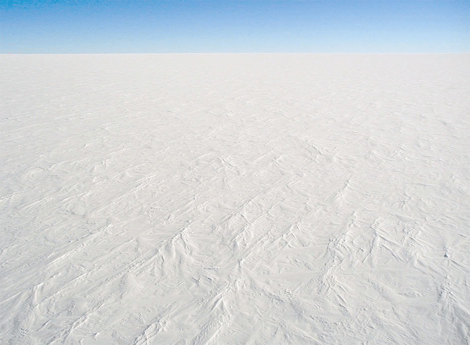 Polar Desert