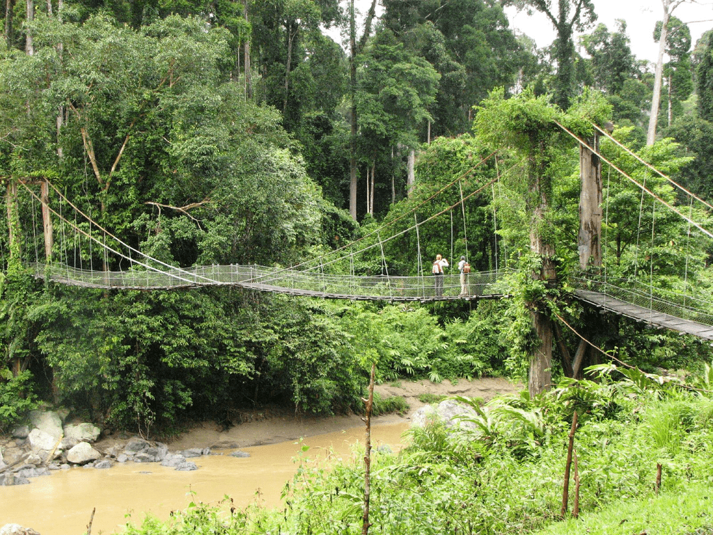 Danum Valley Conservation Area, Malaysia