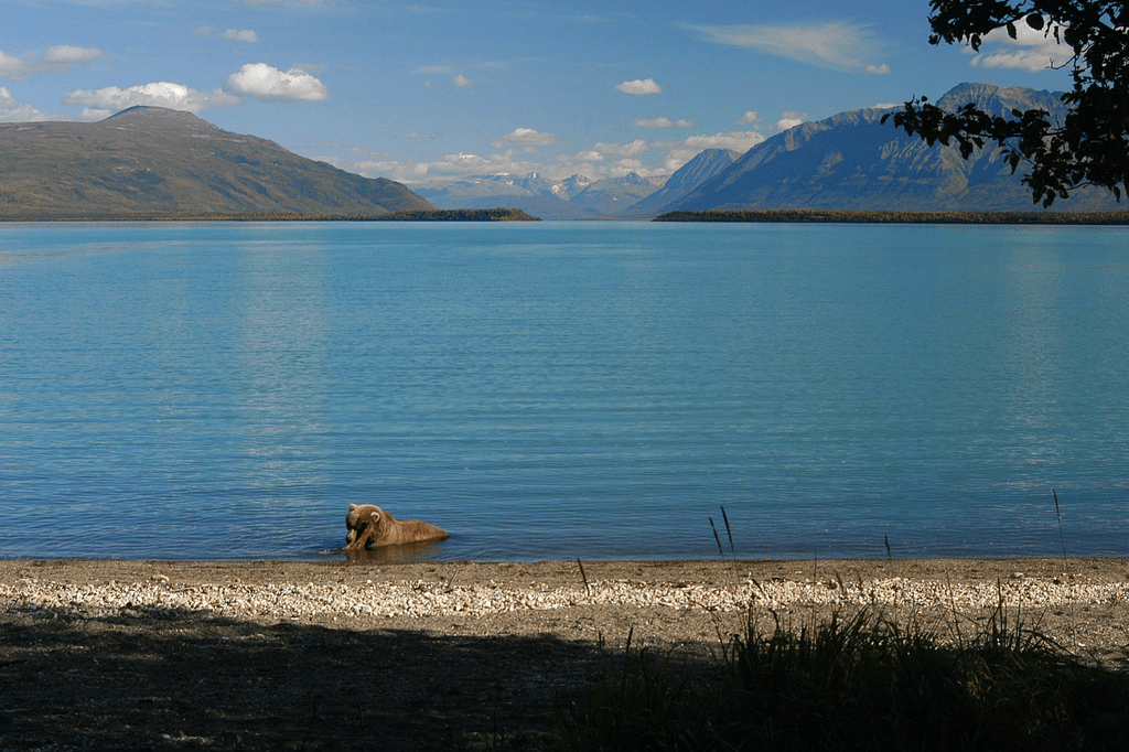 Naknek Lake
