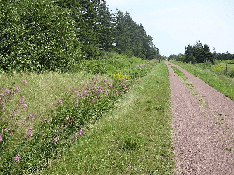 Confederation Trail