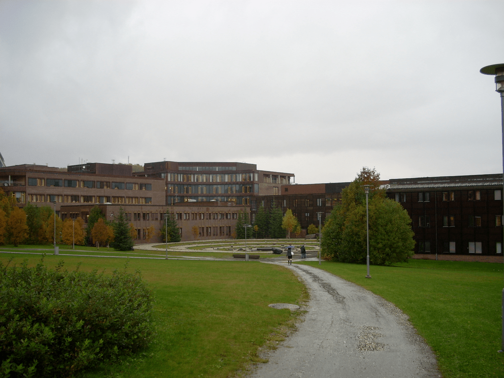 The University of the Arctic