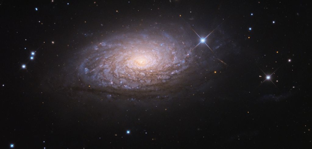 Sunflower Galaxy (M63)