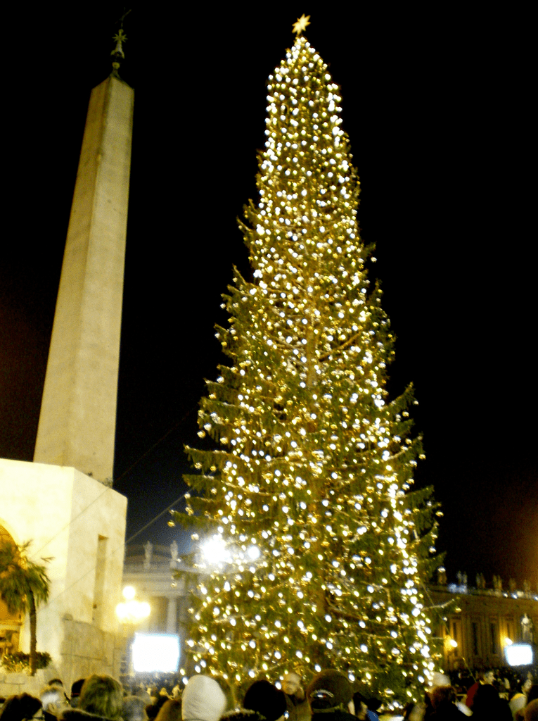 Vatican City Christmas Tree