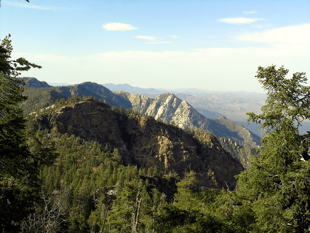 Sierra de San Pedro Mártir National Park