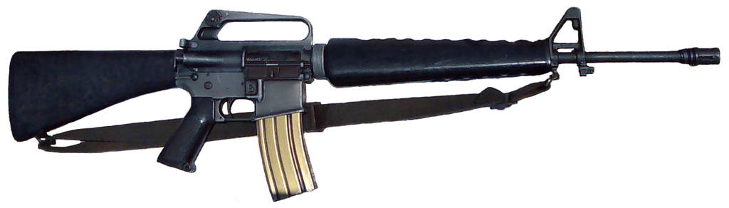 Assault Rifle (Legendary)
