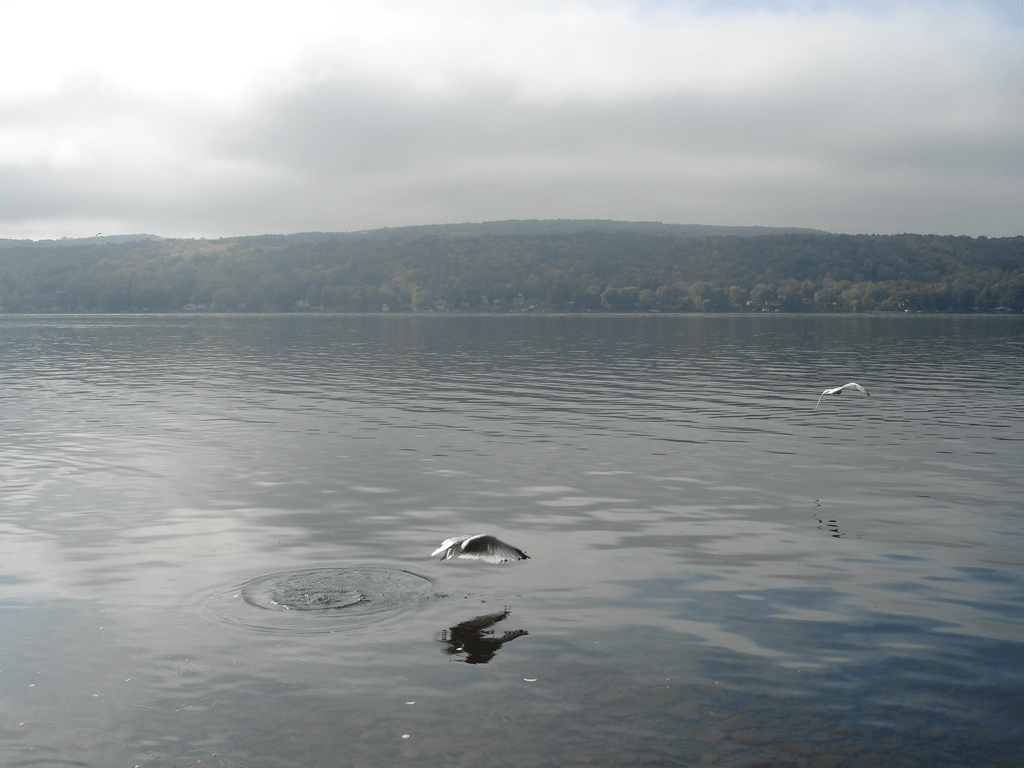 Honeoye Lake