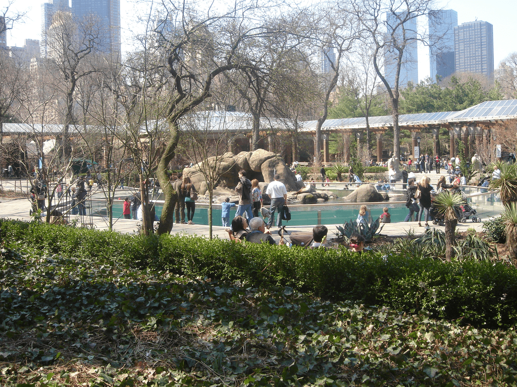 The Central Park Zoo