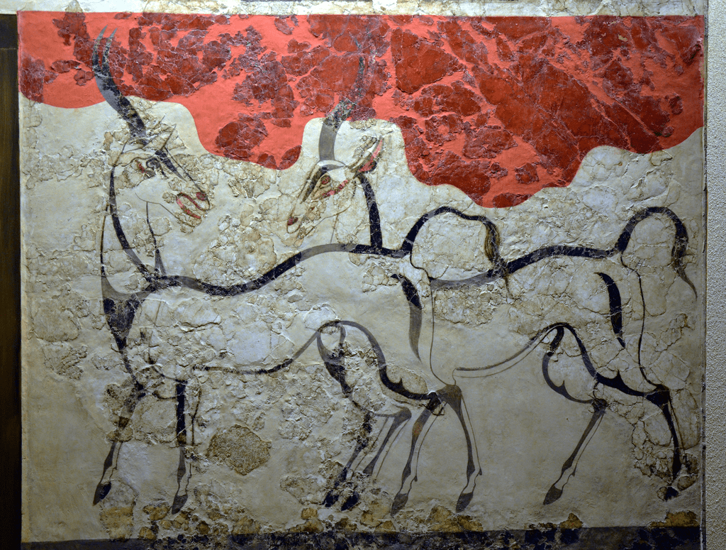 The Akrotiri frescoes