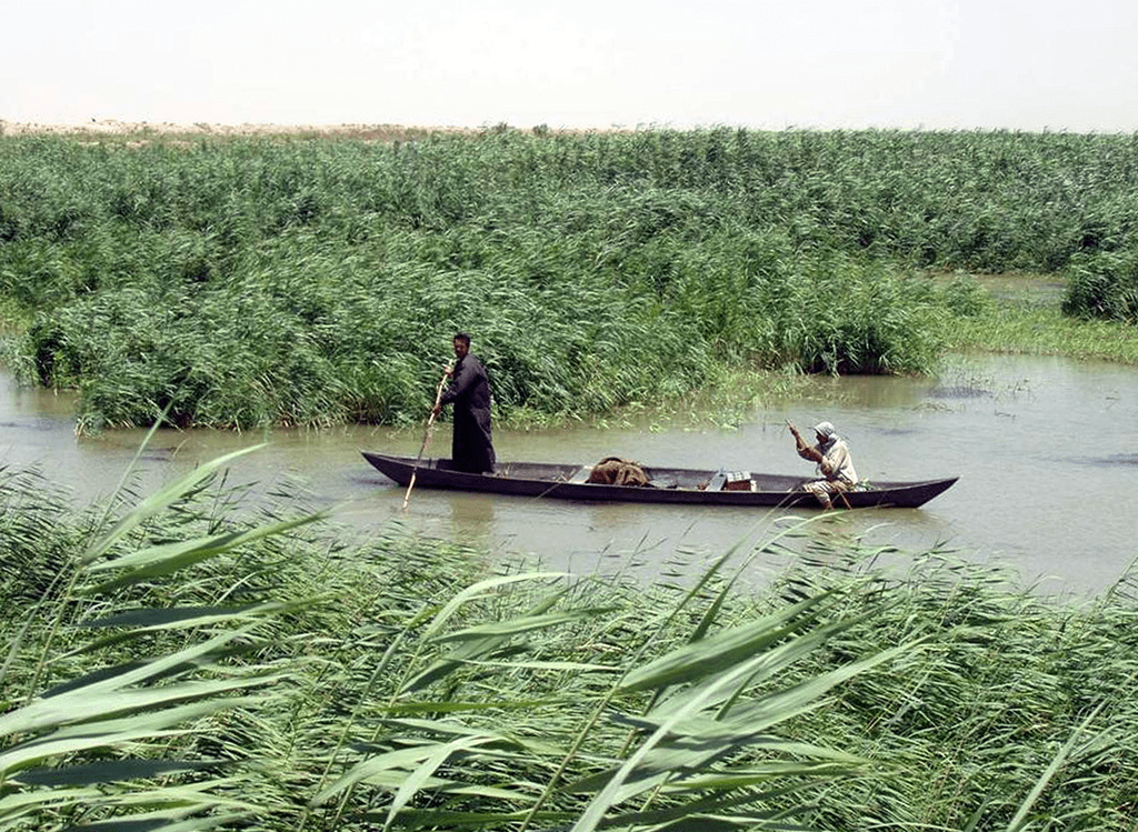 Marshes of Mesopotamia
