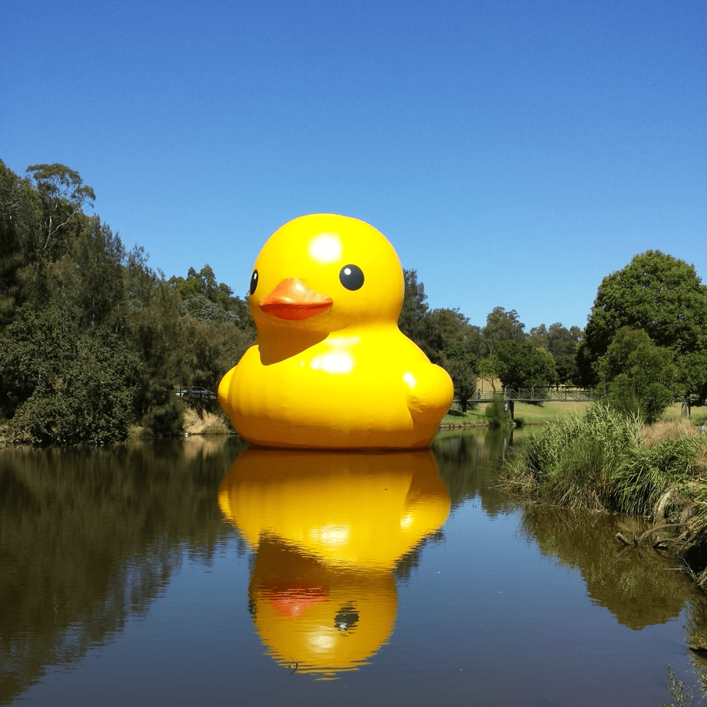 A rubber duck