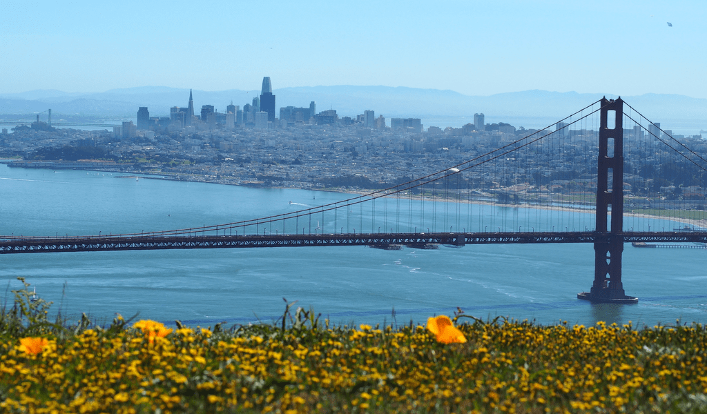 94110 - San Francisco, California