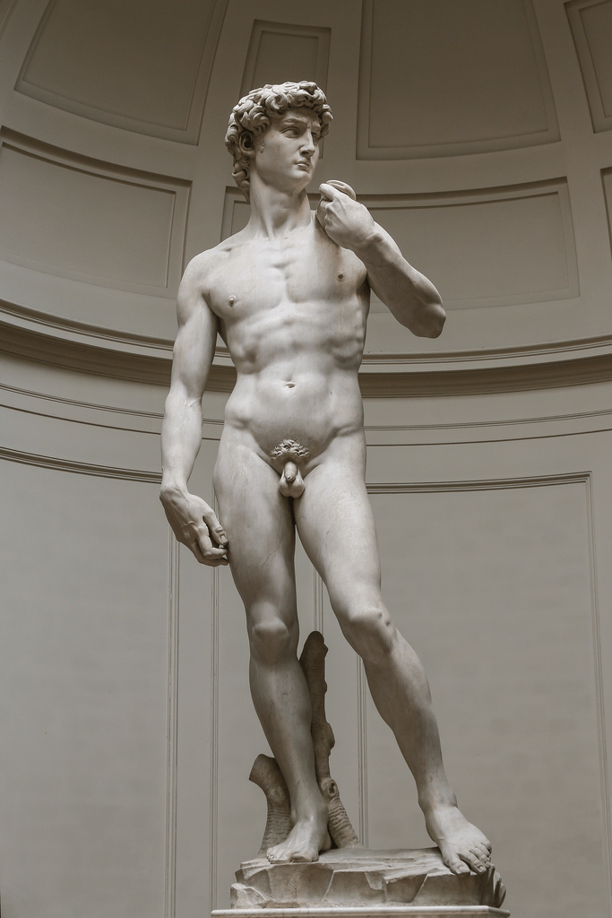 The David by Michelangelo