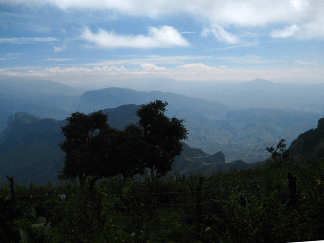 Sierra Gorda Biosphere Reserve