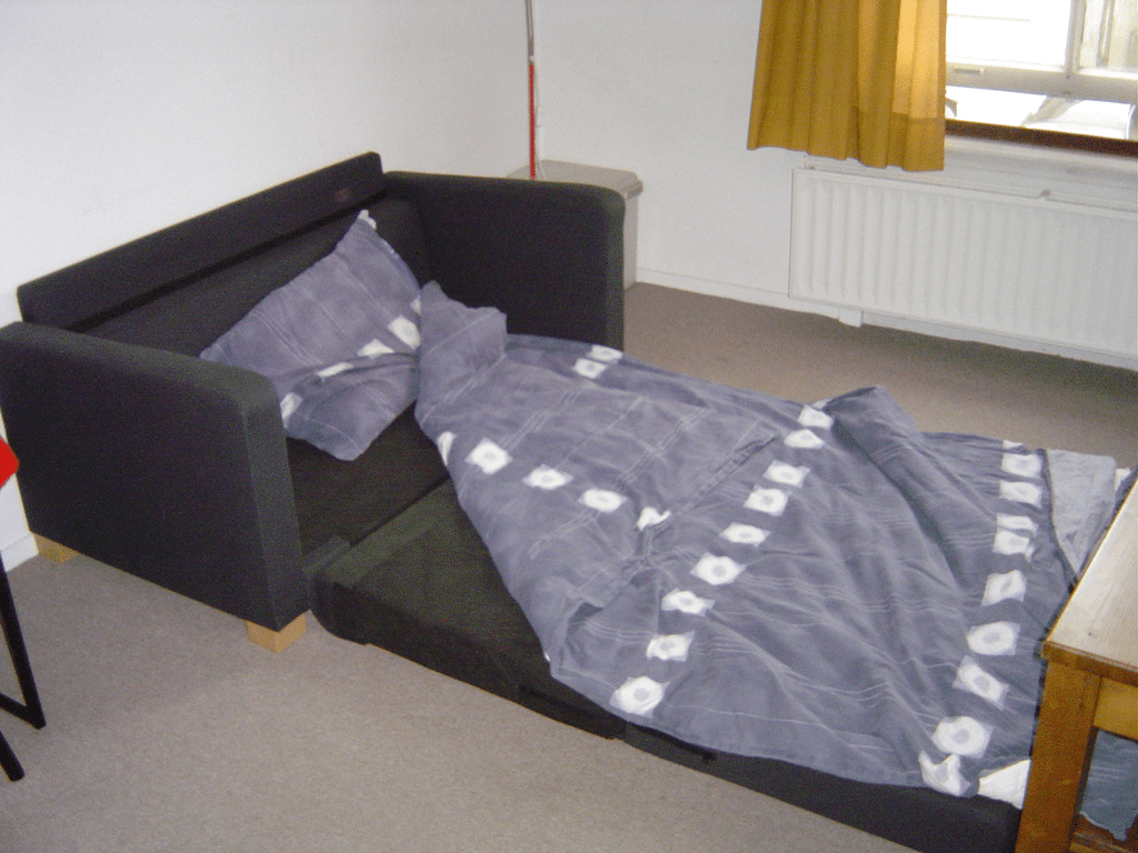 The Sleeper sofa