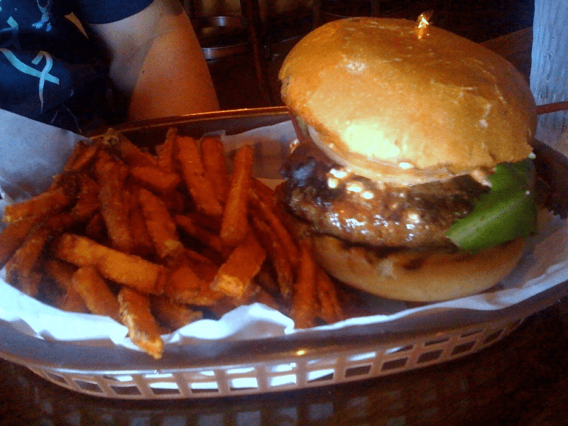 Bison Burger