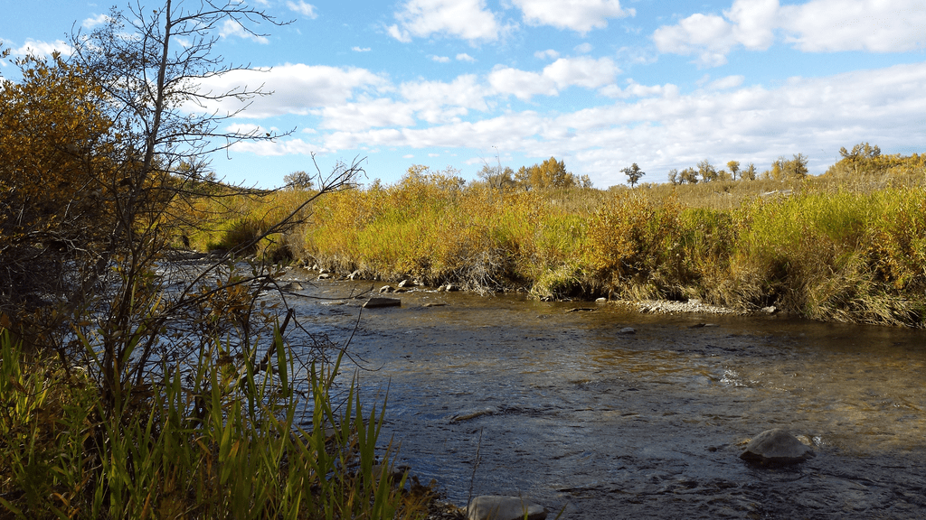 Fish Creek Provincial Park
