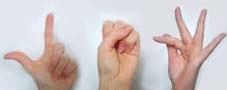 French Sign Language (LSF)