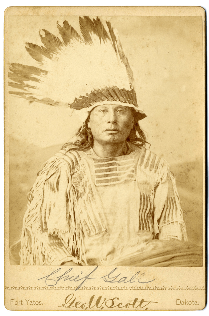 Native American hair