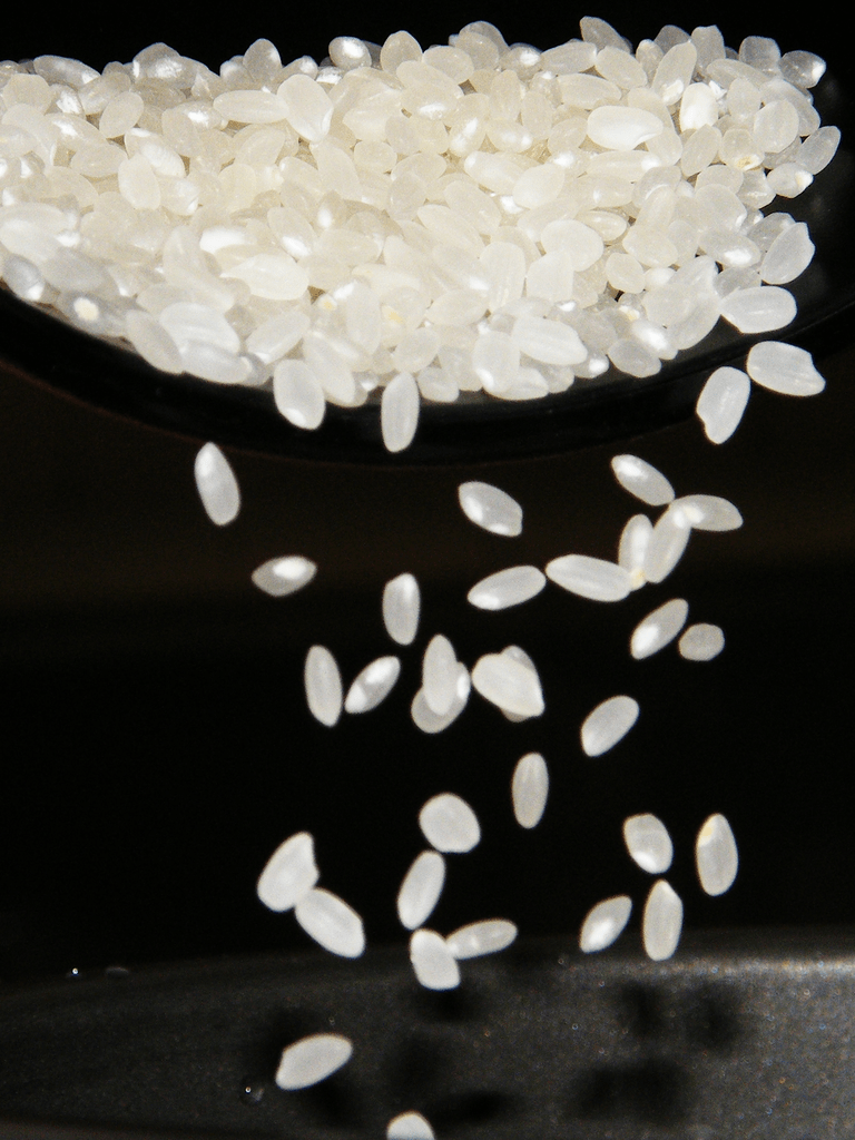 Koshihikari Rice