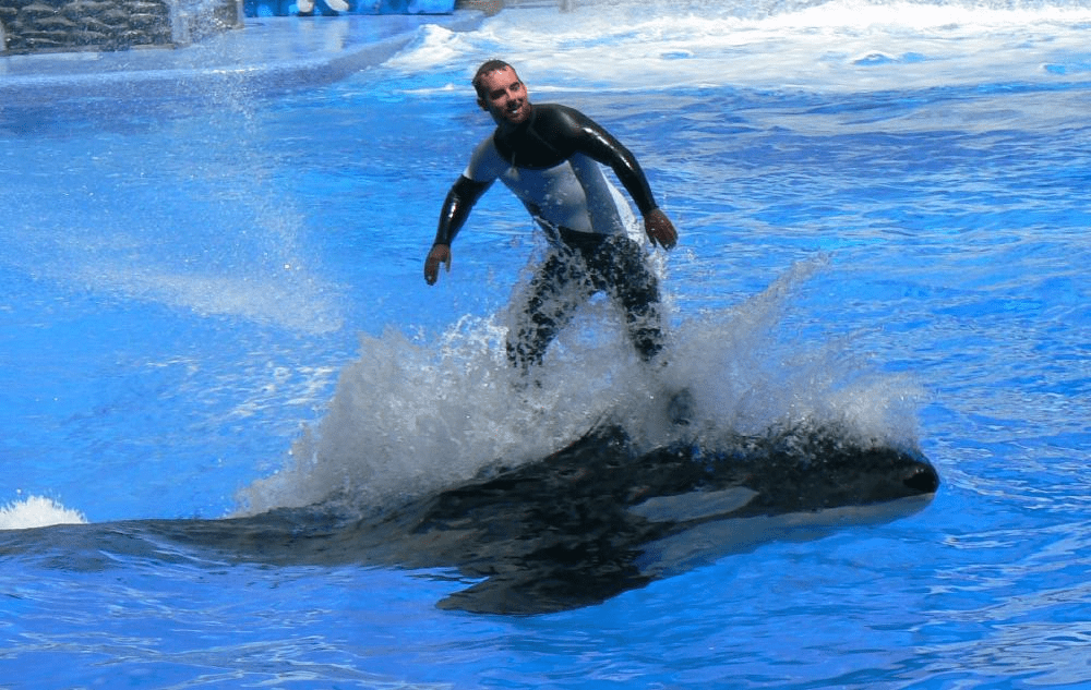 SeaWorld Orlando - Orlando, Florida