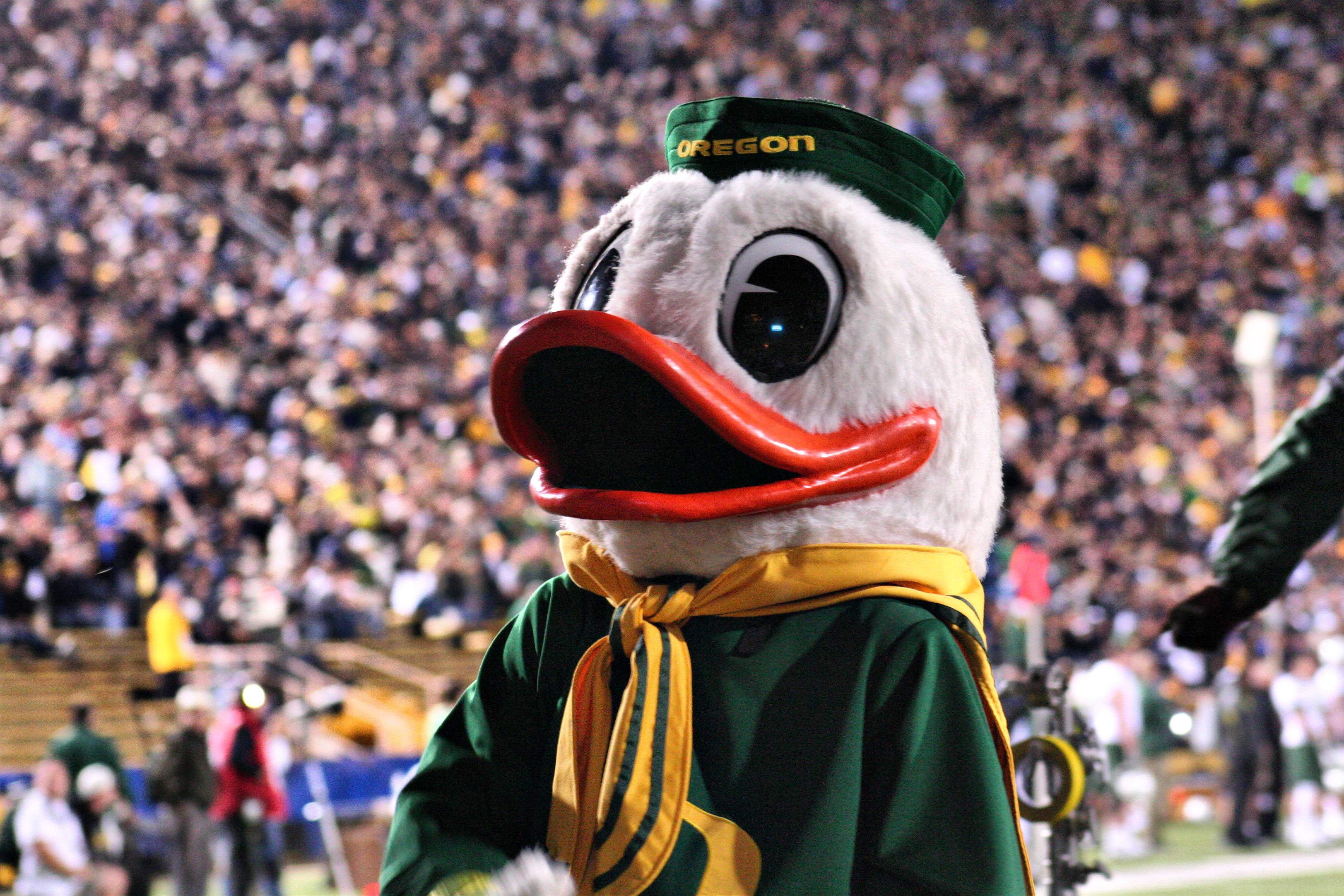 University of Oregon - The Duck