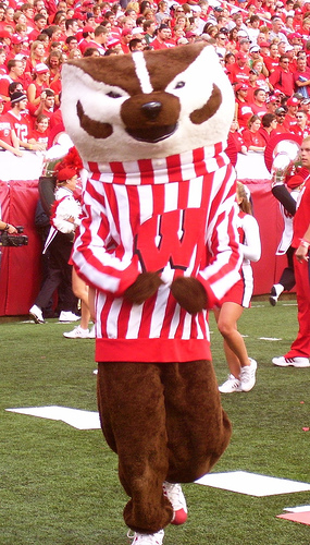 University of Wisconsin - Bucky Badger