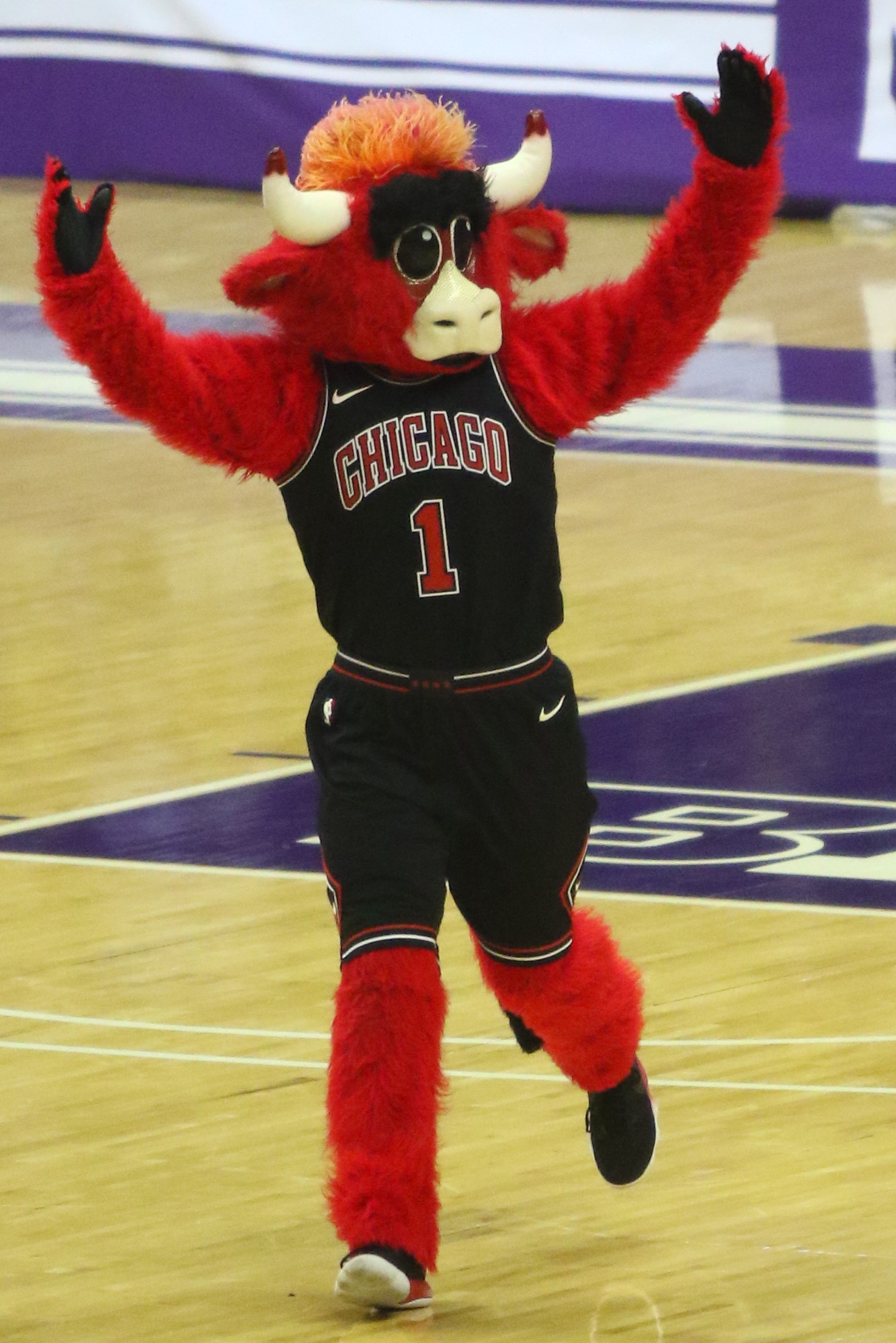 Benny the Bull (Chicago Bulls)